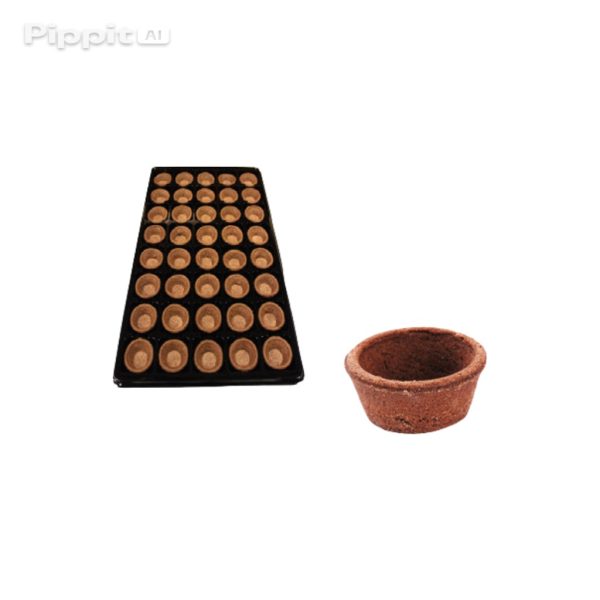image_Pippit_202512071152 (1) بسكويت تارت 40 قطعة.Tart Biscuits 40 pieces