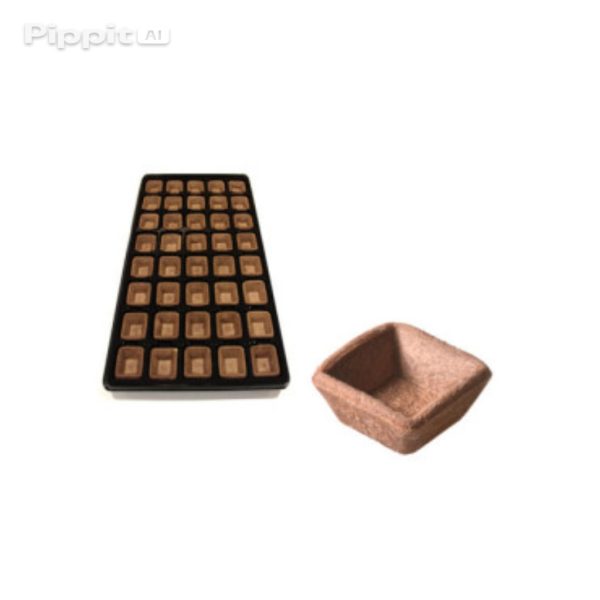 image_Pippit_202512071152 (2) بسكويت تارت 40 قطعة.Tart Biscuits 40 pieces